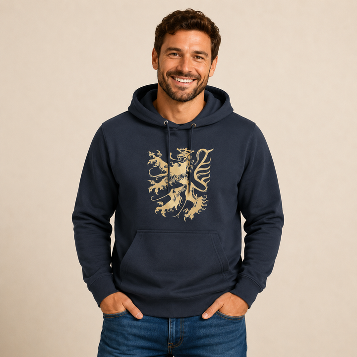 Pfälzer Löwe - Hoodie Stick Unisex dunkelgrau / gold