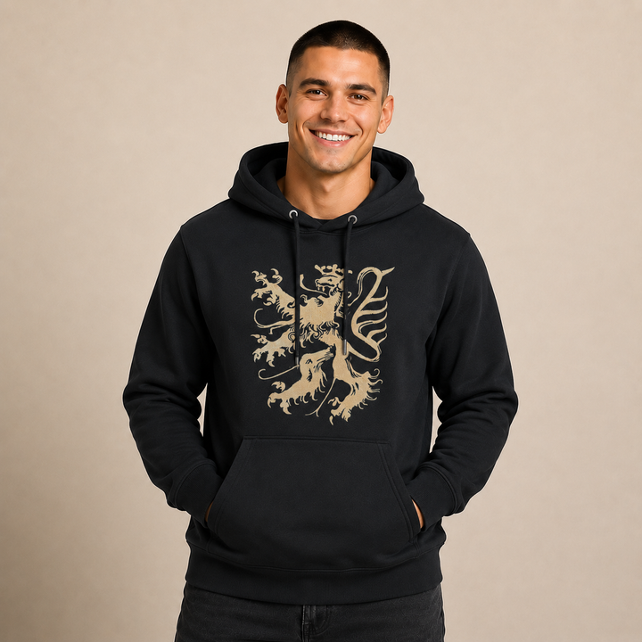 Pfälzer Löwe - Hoodie Stick Unisex schwarz / gold