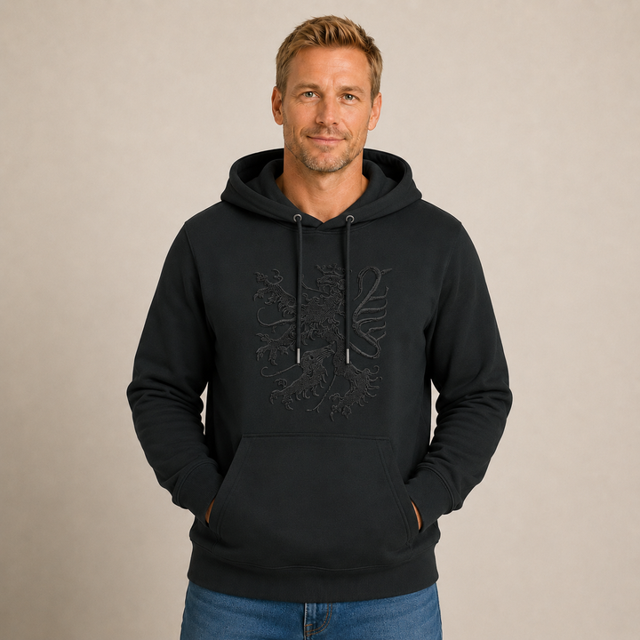 Pfälzer Löwe - Hoodie Stick Unisex schwarz / schwarz