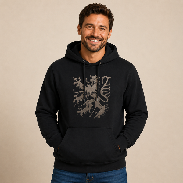 Pfälzer Löwe - Hoodie Stick Unisex schwarz / silber