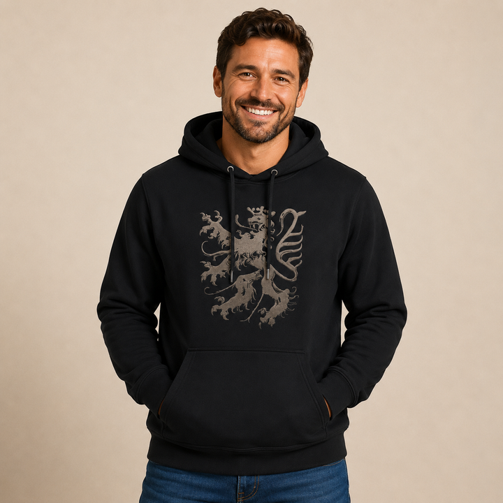 Pfälzer Löwe - Hoodie Stick Unisex schwarz / silber