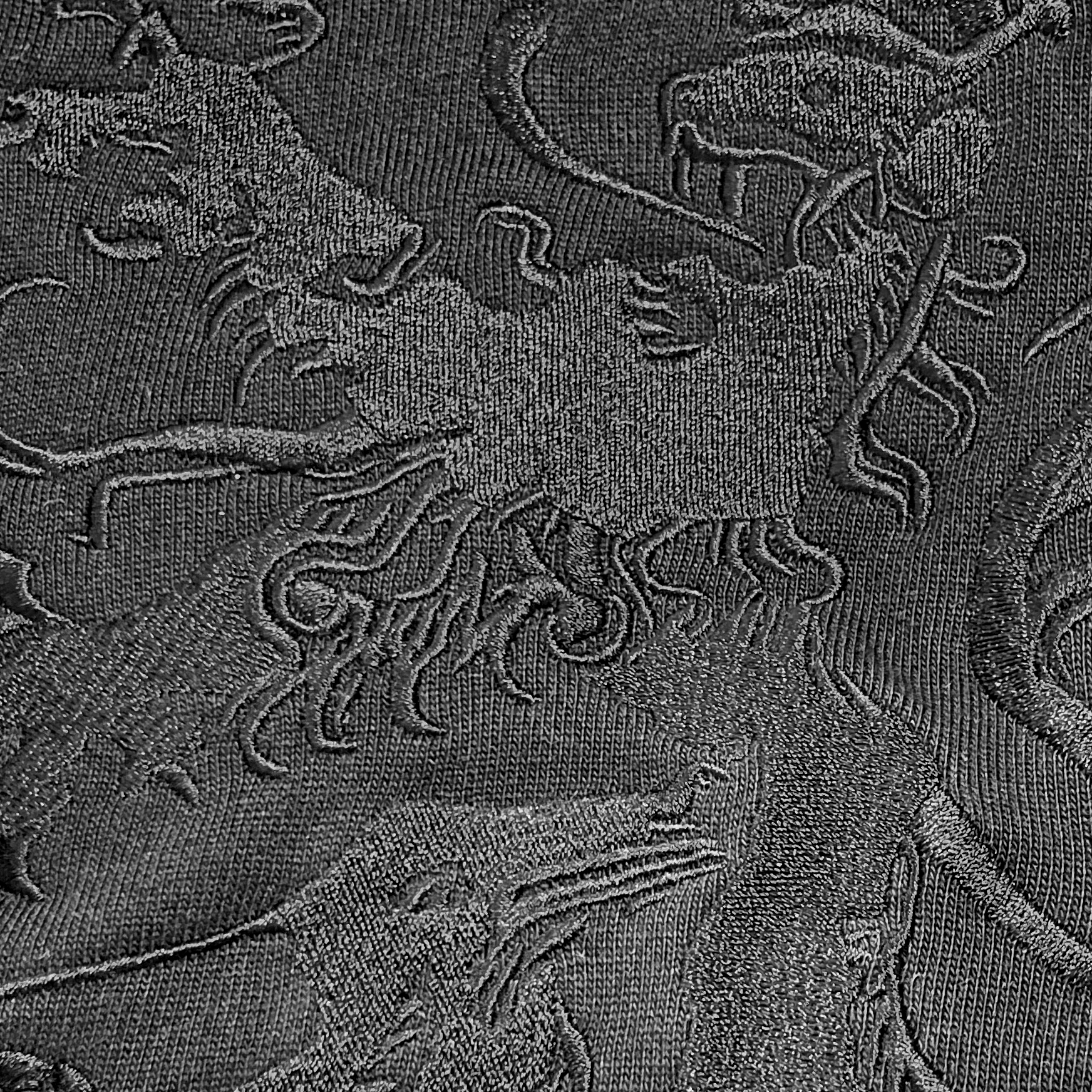 Pfälzer Löwe Hoodie - Detail der hochwertigen Stick-Verarbeitung in Schwarz 