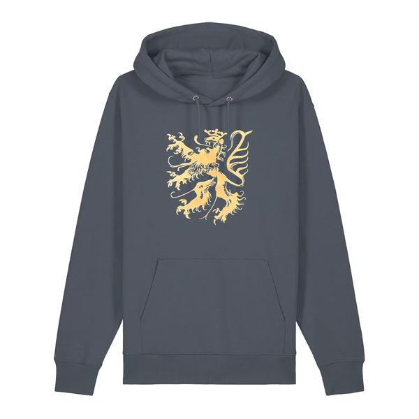 Pfälzer Löwe Hoodie Stick Unisex dunkelgrau - Gesamtansicht
