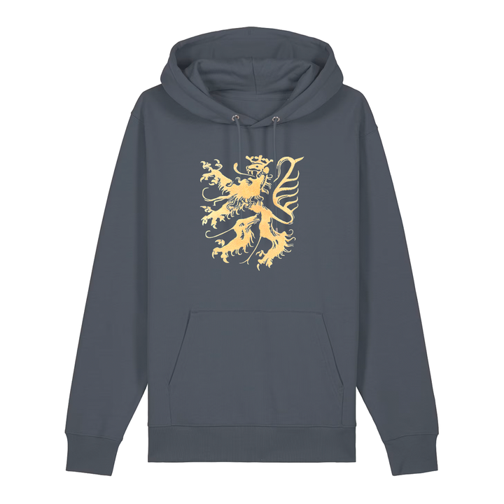 Pfälzer Löwe Hoodie Stick Unisex dunkelgrau - Gesamtansicht
